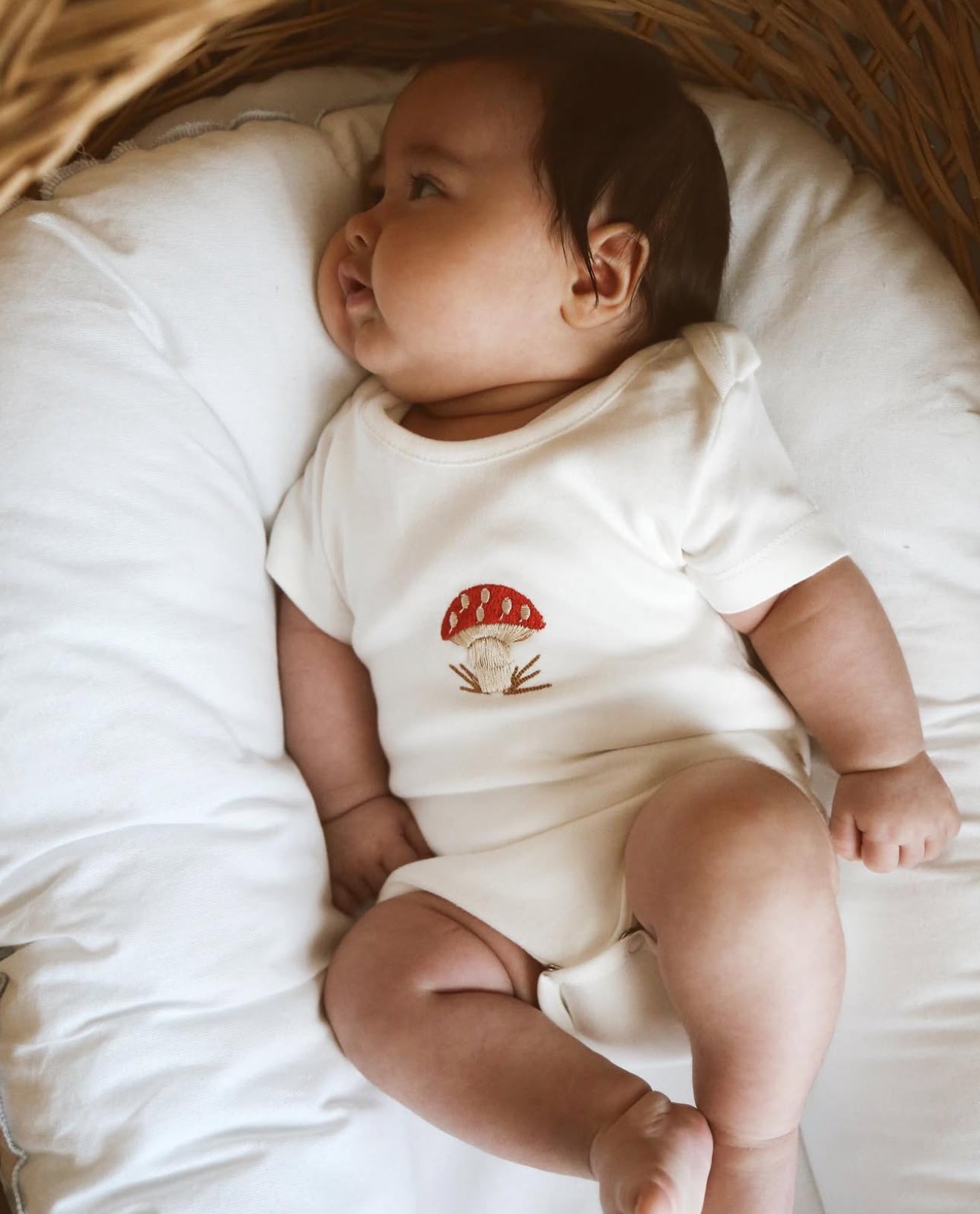 NEW BORN 5-PIECE MUSHROOM SET