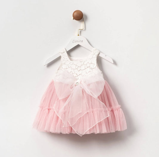 THE BLUSH DREAM DRESS